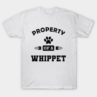 Whippet Dog - Property of a whippet T-Shirt